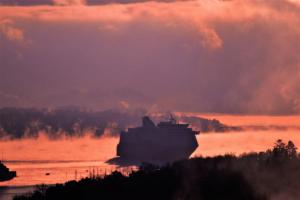 Winter morning view - inner Oslo fjord January 2021